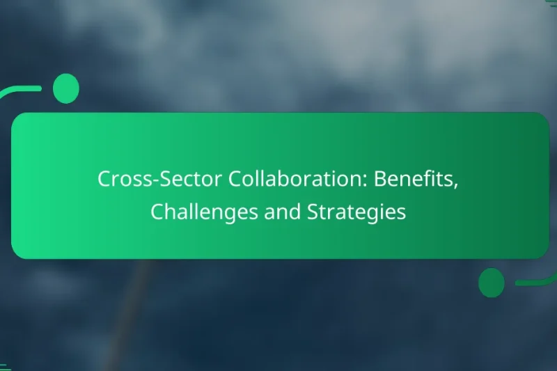 Cross-Sector Collaboration: Benefits, Challenges and Strategies