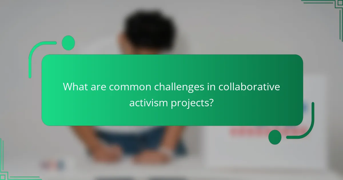 What are common challenges in collaborative activism projects?