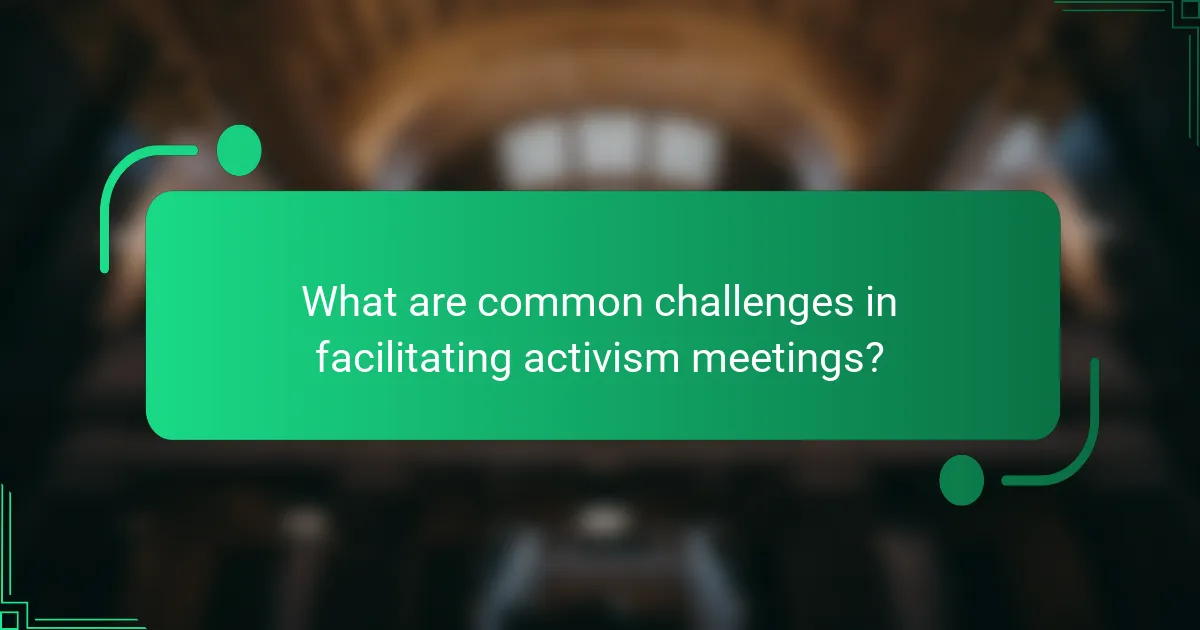 What are common challenges in facilitating activism meetings?