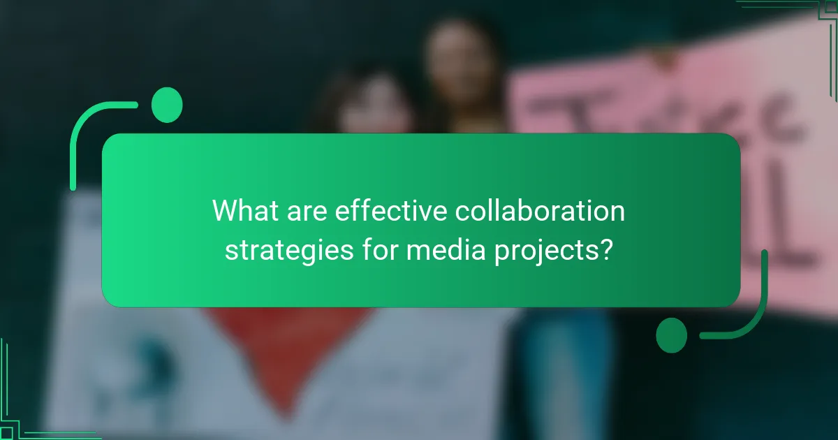 What are effective collaboration strategies for media projects?