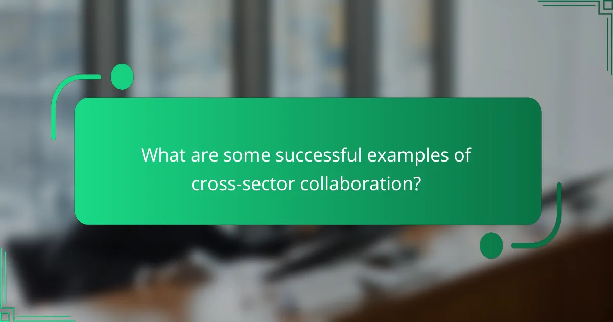 What are some successful examples of cross-sector collaboration?