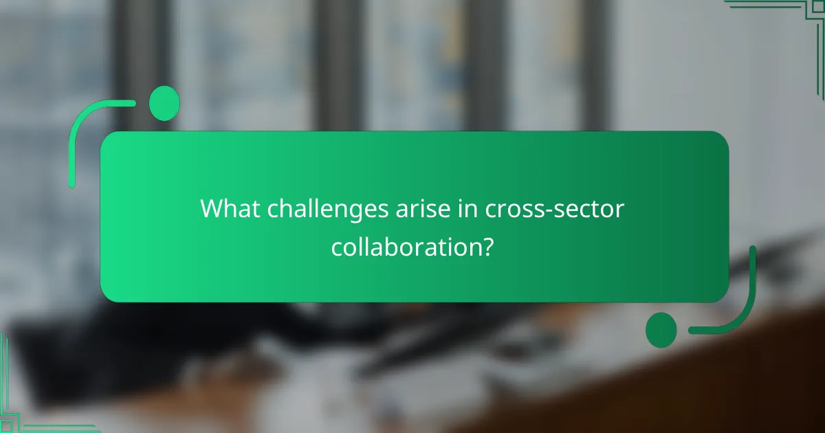 What challenges arise in cross-sector collaboration?